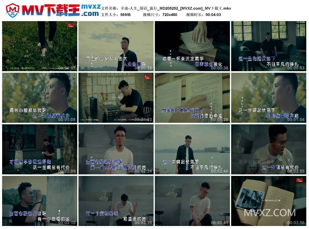 辛迪-人生_国语_流行_MD205252